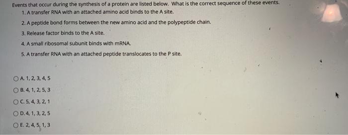 Solved Events that occur during the synthesis of a protein | Chegg.com