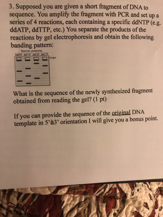 Solved 3. Supposed you are given a short fragment of DNA to | Chegg.com