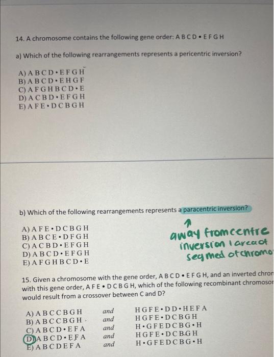 Solved 14. A chromosome contains the following gene order: | Chegg.com