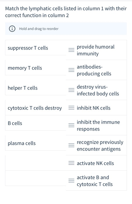 Match Each Lymphatic Cell With Its Function