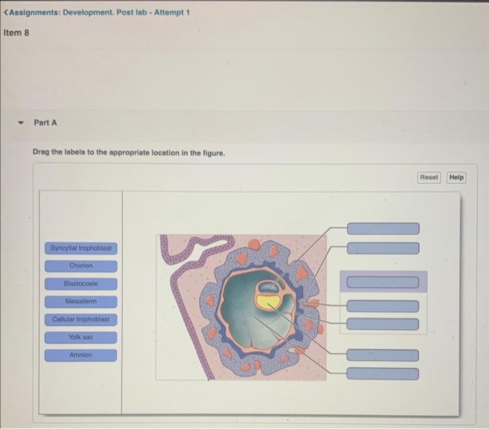 Solved Drag the labels to the appropriate location in the | Chegg.com