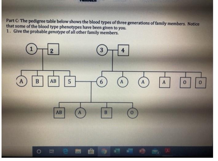 solved-part-c-the-pedigree-table-below-shows-the-blood-chegg