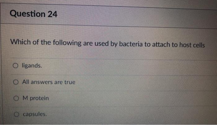 Solved Question 22 All of the following contribute to a | Chegg.com