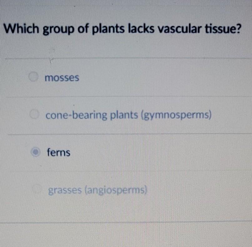 Solved Which group of plants lacks vascular tissue? mosses