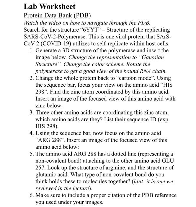 Lab Worksheet Protein Data Bank (PDB) Watch the video | Chegg.com
