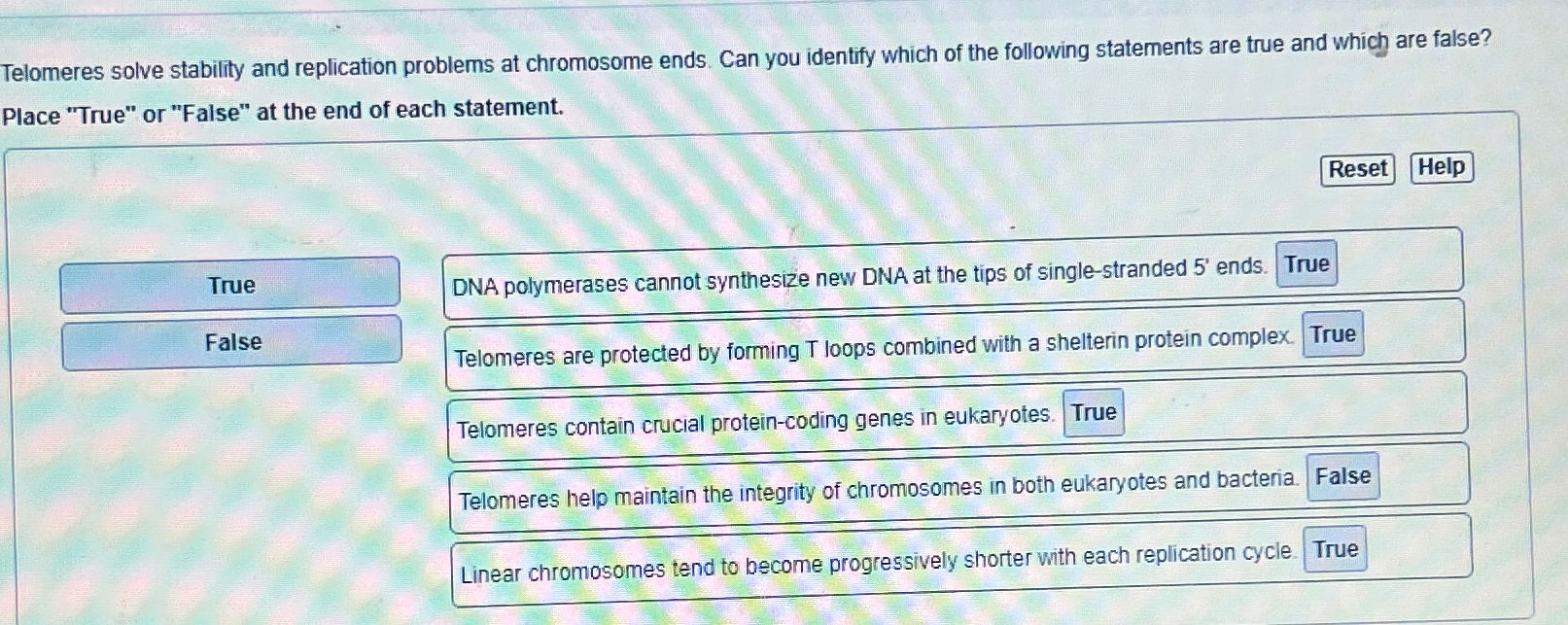 Solved Telomeres solve stability and replication problems at | Chegg.com