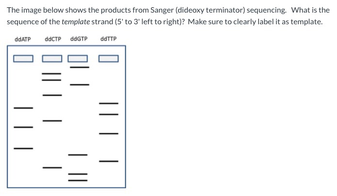 Solved The image below shows the products from Sanger | Chegg.com