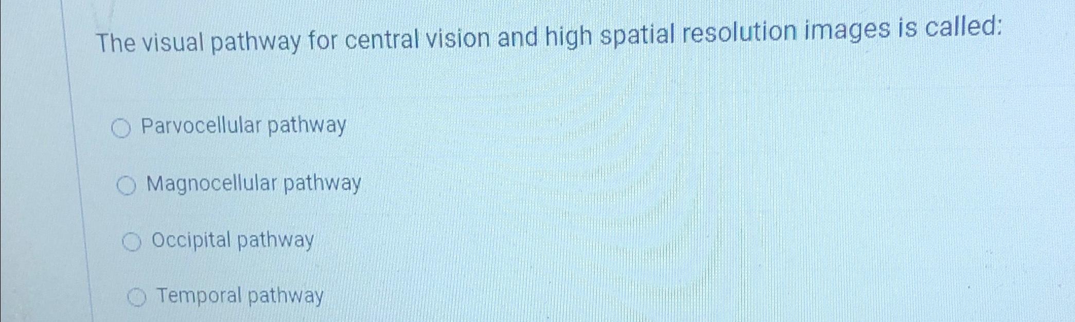 Solved The visual pathway for central vision and high | Chegg.com