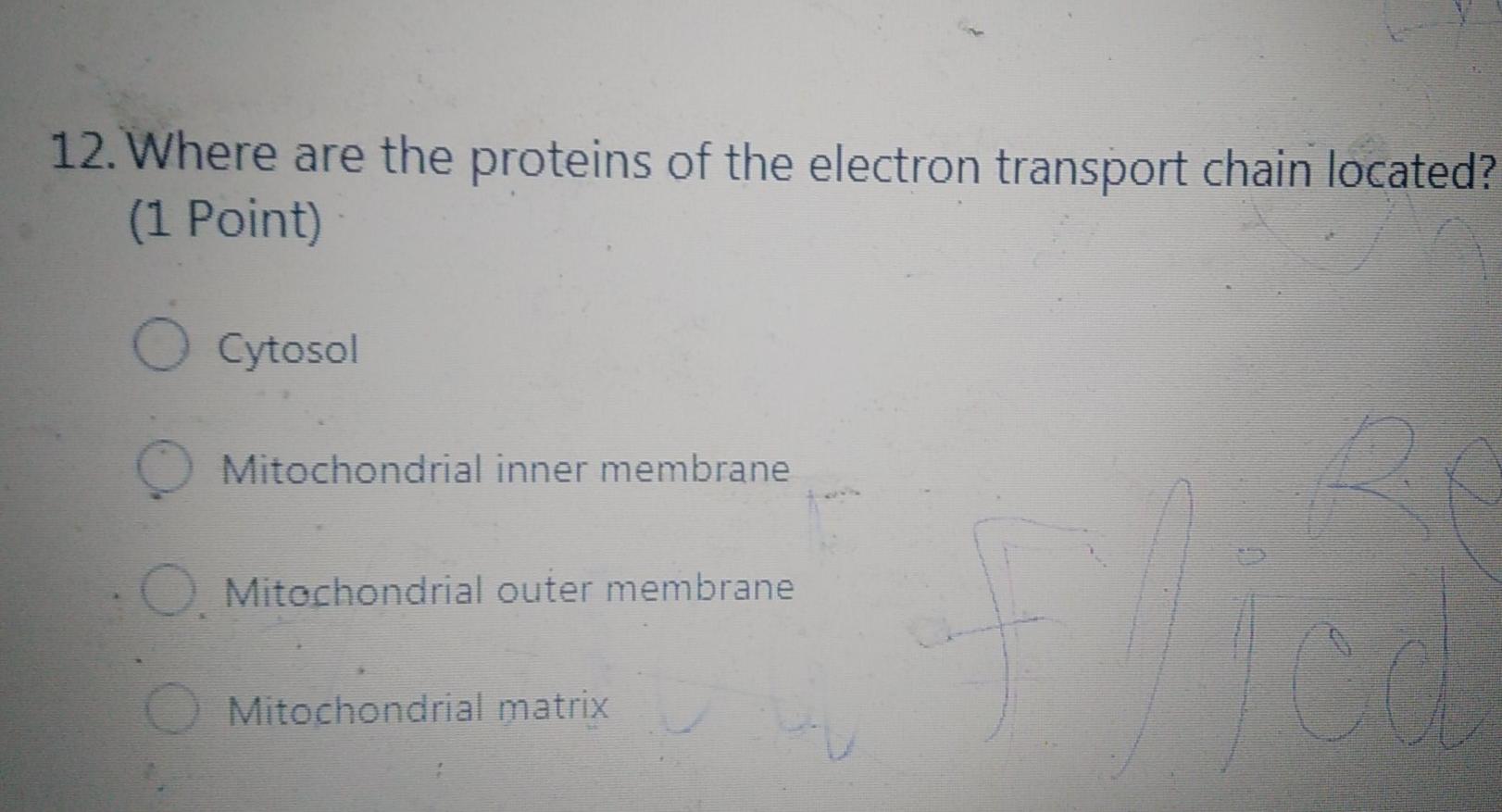 Solved 12. Where are the proteins of the electron transport | Chegg.com