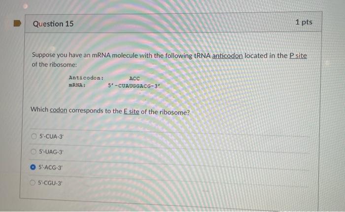 Solved Question 15 1 pts Suppose you have an mRNA molecule | Chegg.com