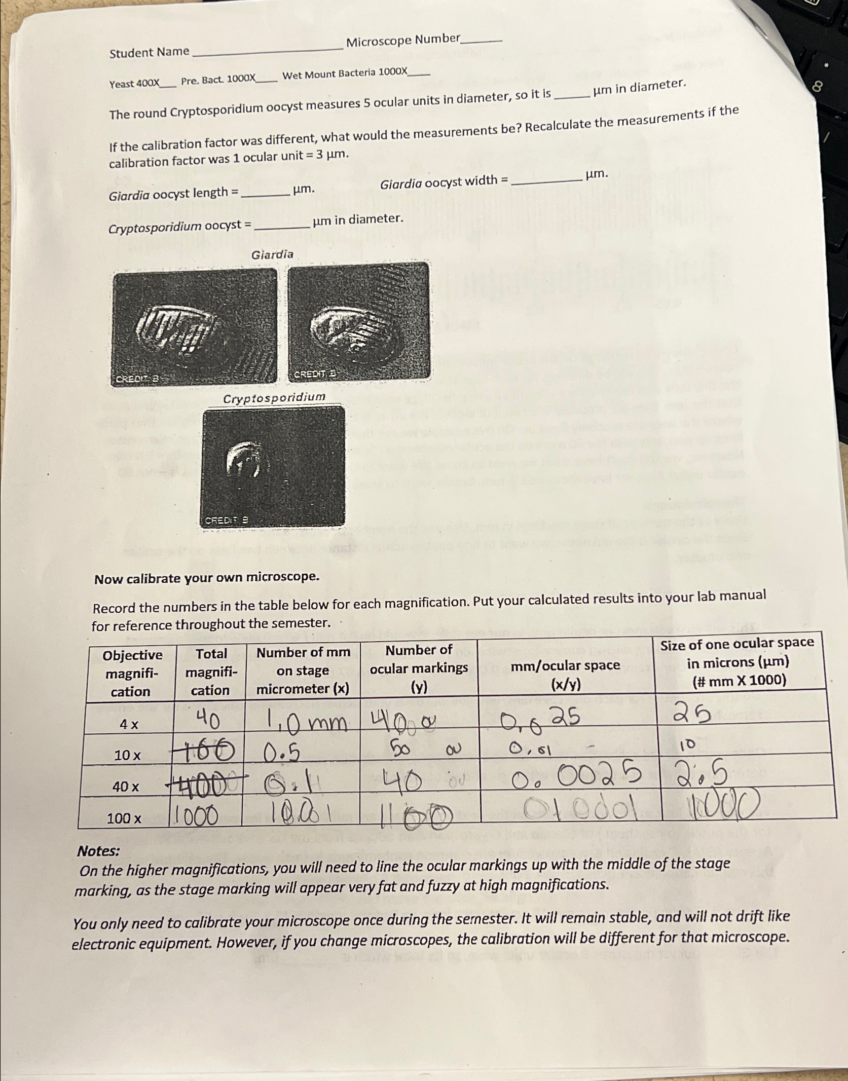 Solved Student NameMicroscope NumbelYeast 400xPre. Bact. | Chegg.com