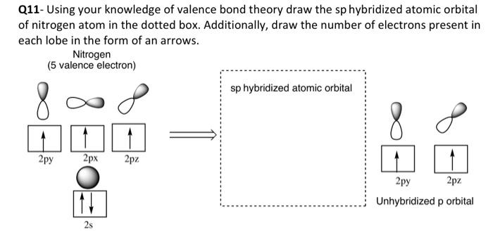 Solved Q11- Using your knowledge of valence bond theory draw | Chegg.com