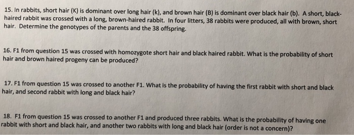 Solved 15. In rabbits, short hair (K) is dominant over long | Chegg.com