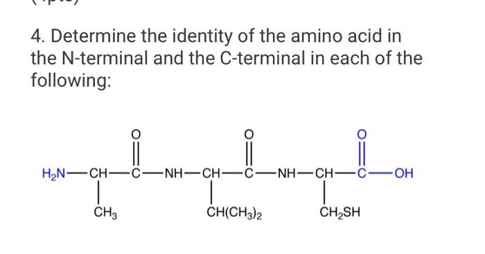 Solved 4. Determine the identity of the amino acid in the | Chegg.com