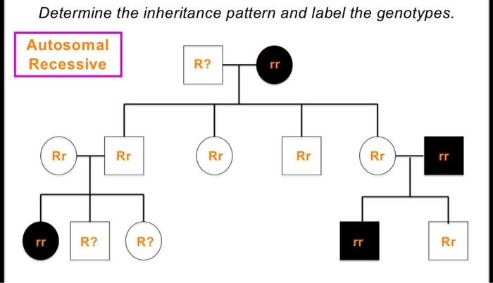 Pedigrees