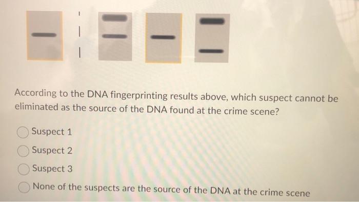 Solved Use the DNA Fingerprint below to answer the question: | Chegg.com
