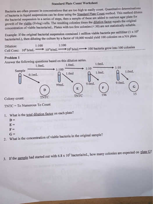 Solved Standard Plate Count Worksheet Bacteria are often
