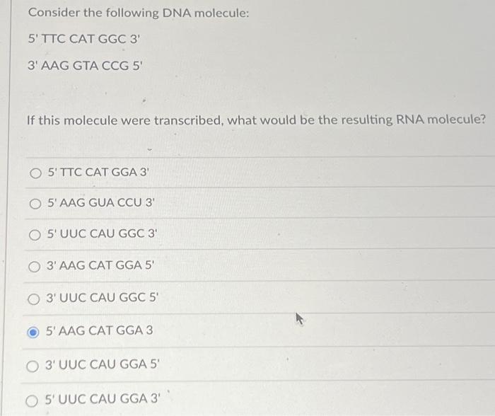 Solved Consider the following DNA molecule: 5' TTC CAT GGC | Chegg.com