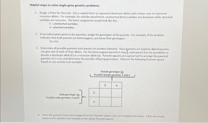 Solved Helpful steps to solve single-gene genetics problems: | Chegg.com