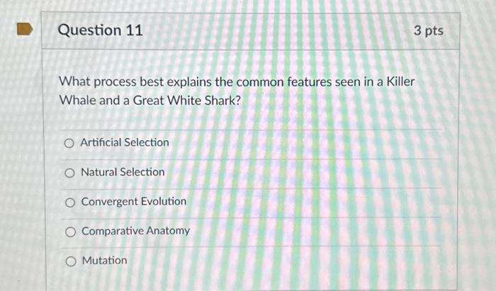 Solved What process best explains the common features seen | Chegg.com