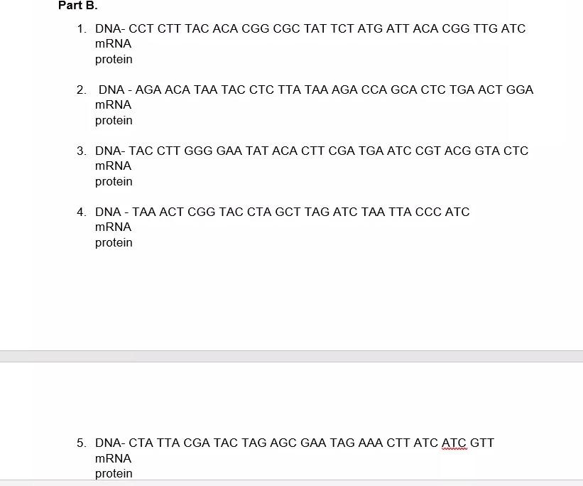 Solved Part B. 1. DNA- CCT CTT TAC ACA CGG CGC TAT TCT ATG | Chegg.com