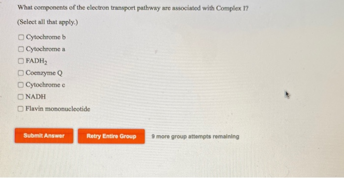 Solved What components of the electron transport pathway are | Chegg.com