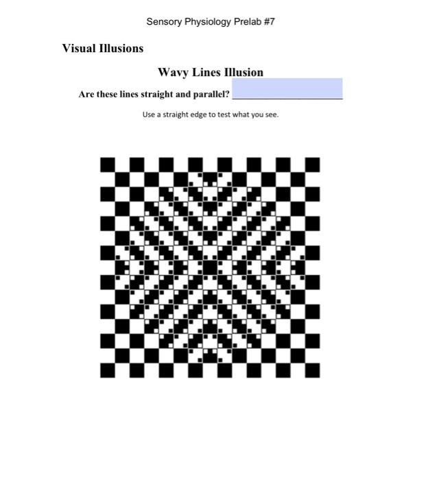 Solved The knee jerk reflex Label the diagram of the knee | Chegg.com