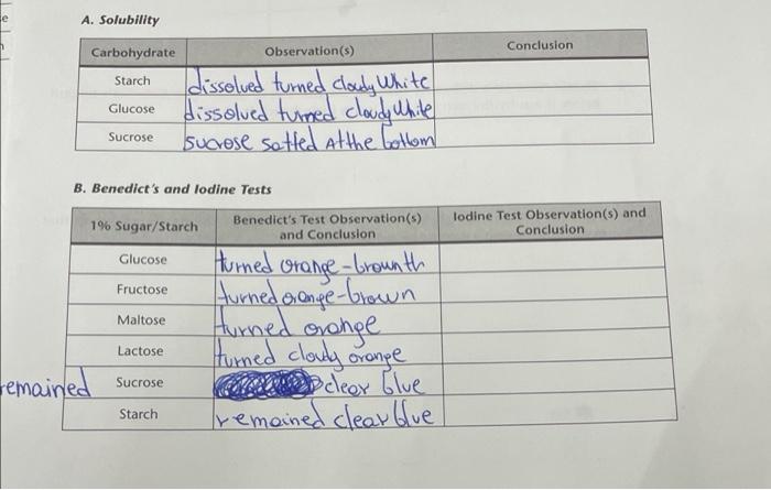 conclusion of solubility experiment