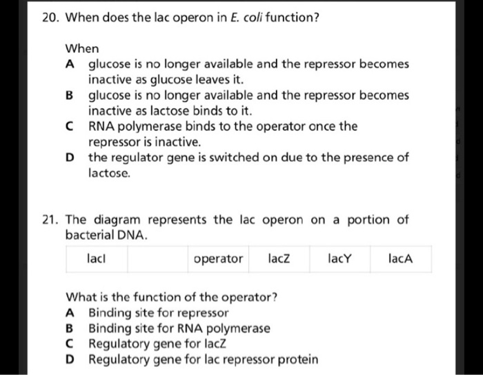 Solved 20. When does the lac operon in E. coli function? | Chegg.com