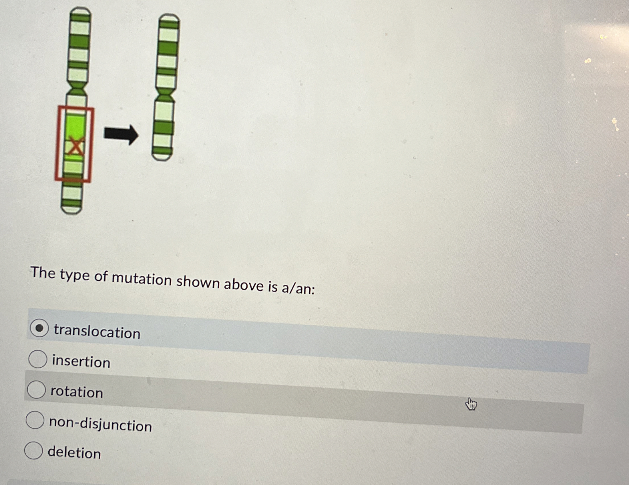 Solved The type of mutation shown above is | Chegg.com