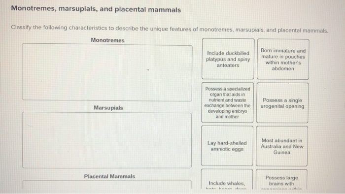 Solved Monotremes, marsupials, and placental mammals | Chegg.com