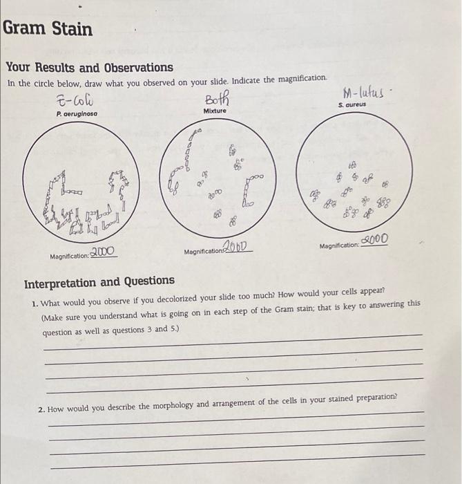 Solved This is a microbiology lab exercise. If you have come | Chegg.com