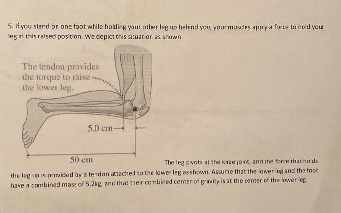 Solved 5. If you stand on one foot while holding your other | Chegg.com