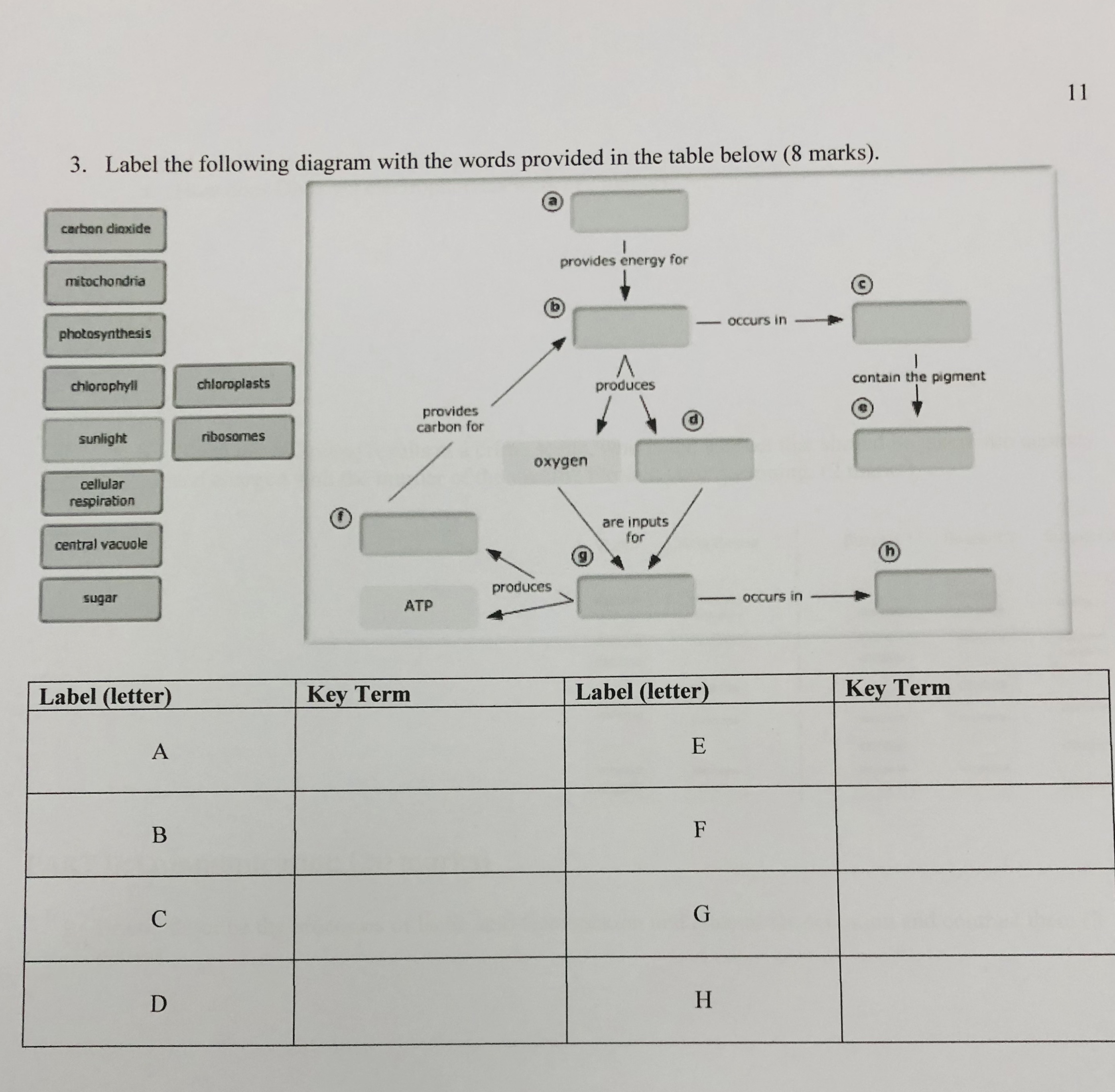 Solved 113. ﻿Label the following diagram with the words | Chegg.com