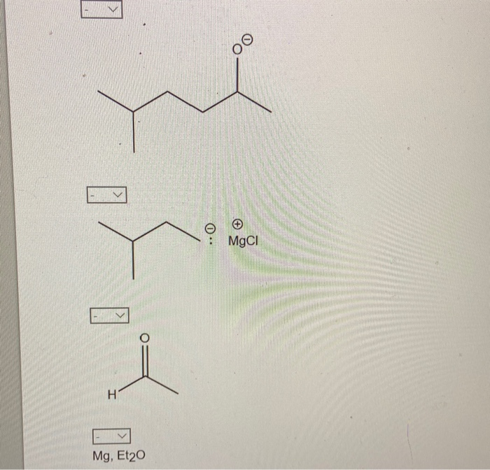 Solved Put the reagents and intermediates in correct order | Chegg.com