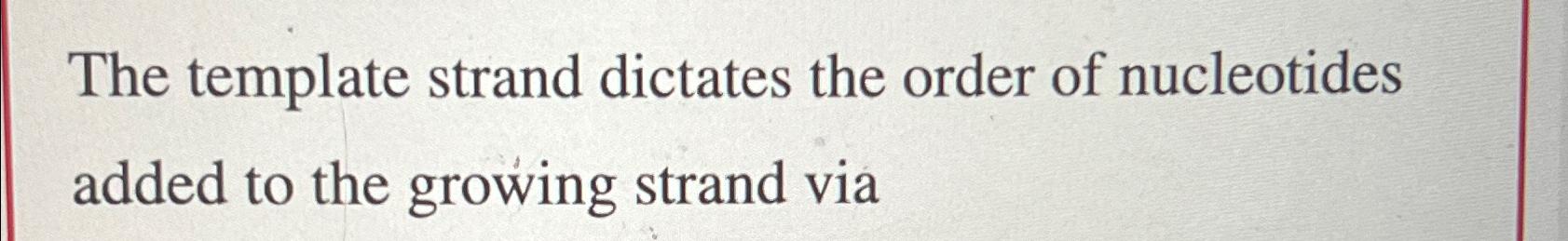 Solved The template strand dictates the order of nucleotides | Chegg.com