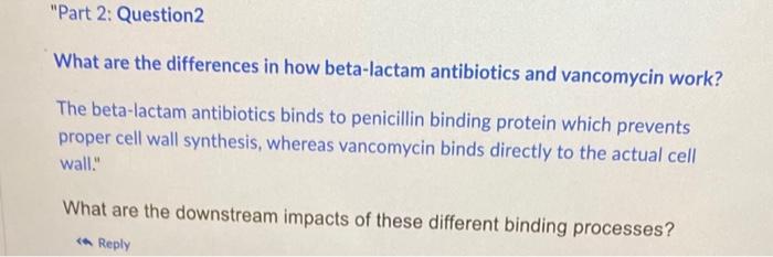 Solved What are the differences in how beta-lactam | Chegg.com