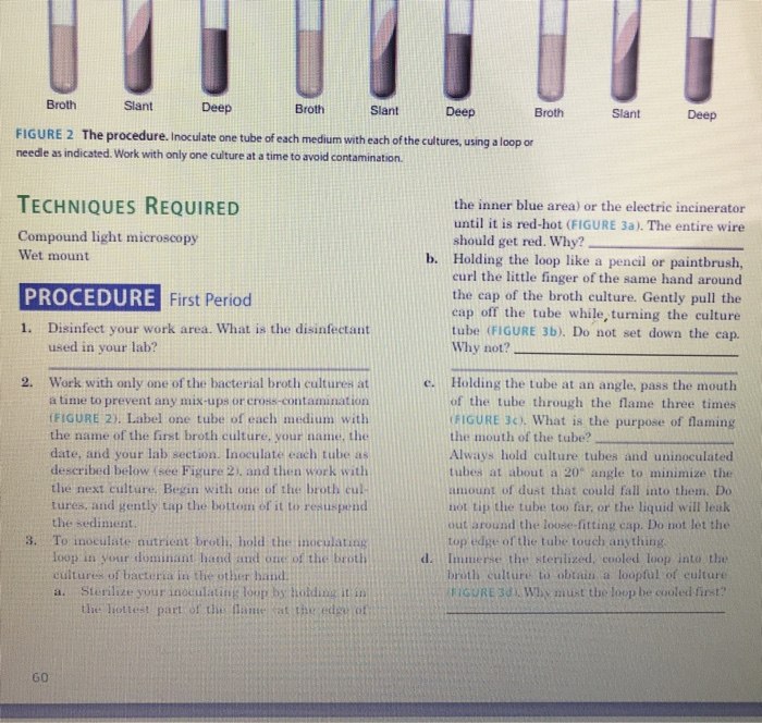 solved-4-transfer-of-bacteria-aseptic-technique-h-were-chegg