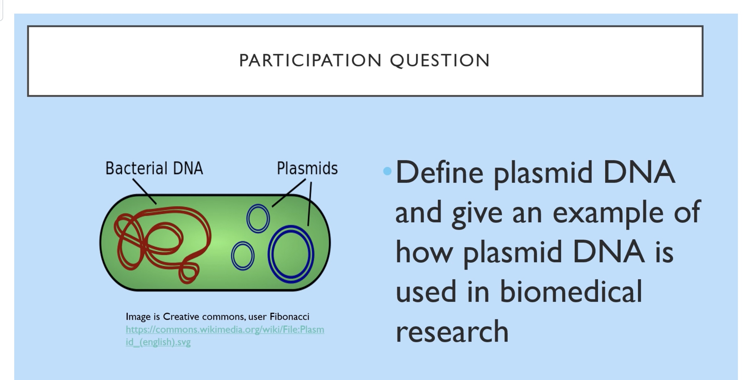 Solved Define Plasmid DNAand Give An Example Ofhow Plasmid Chegg solved-define-plasmid-dnaand-give-an-example-ofhow-plasmid-chegg