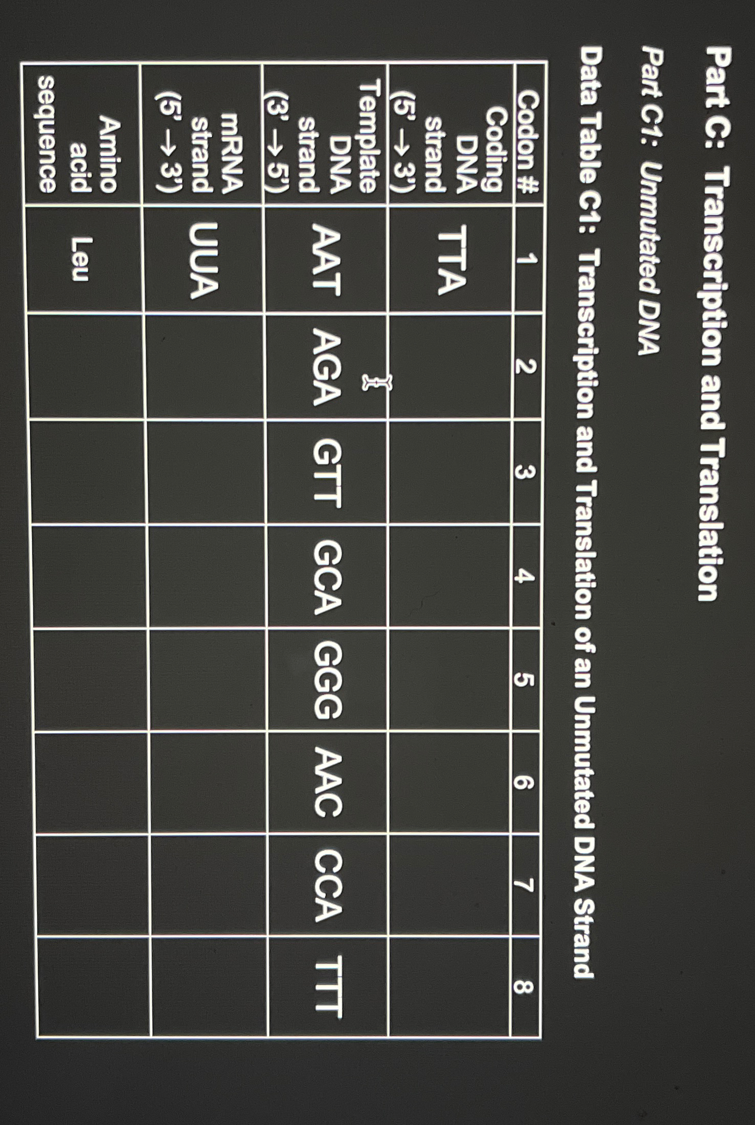 Solved Part C: Transcription and TranslationPart C1: | Chegg.com
