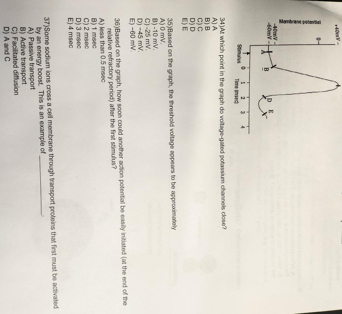 Solved The graph shows action potential. These are all the | Chegg.com