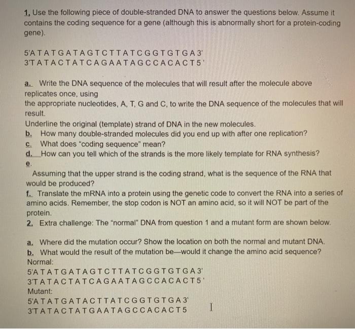 Solved 1. Use the following piece of double-stranded DNA to | Chegg.com