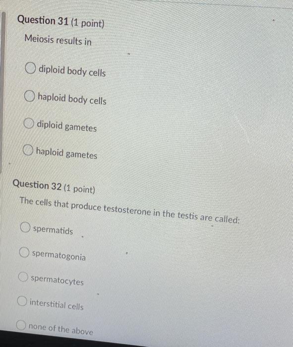 Solved Question 31 (1 point) Meiosis results in diploid body | Chegg.com