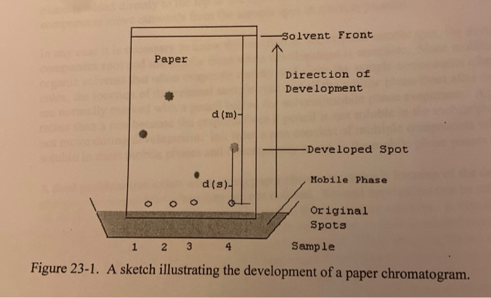 paper chromatography assignment