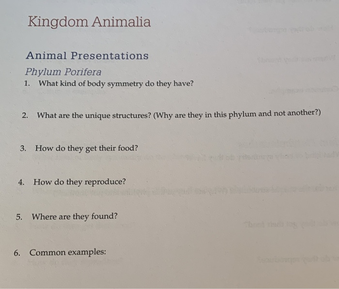 Solved Kingdom Animalia Animal Presentations Phylum Porifera 