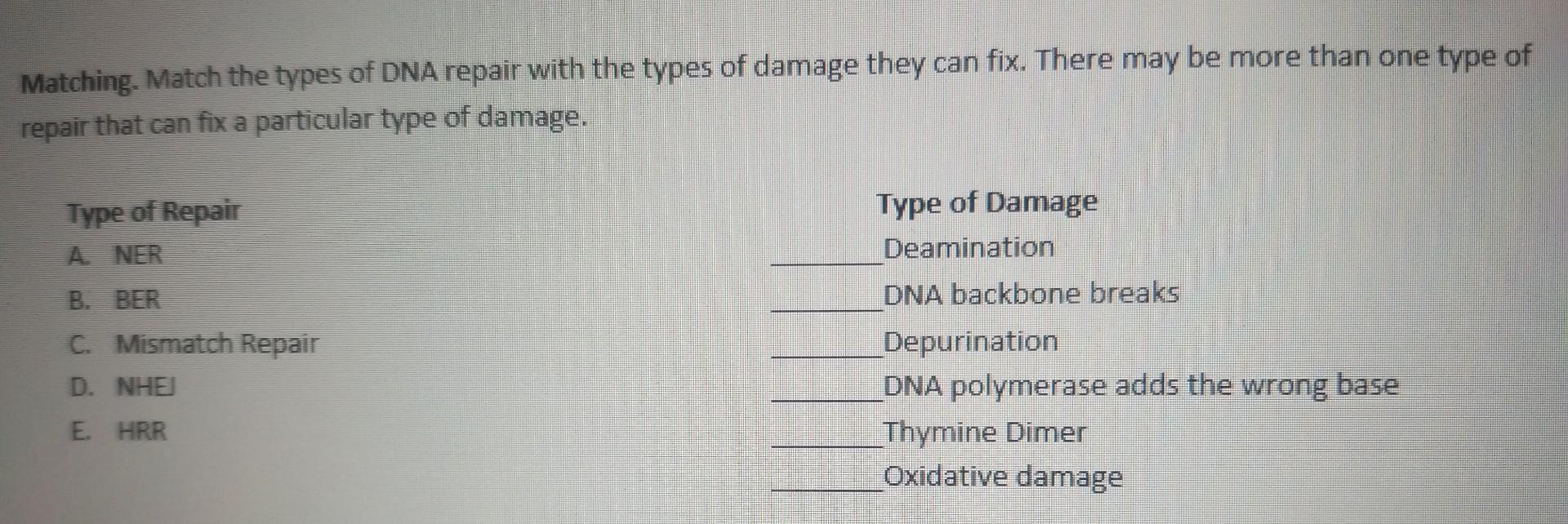 Solved Matching. Match the types of DNA repair with the | Chegg.com
