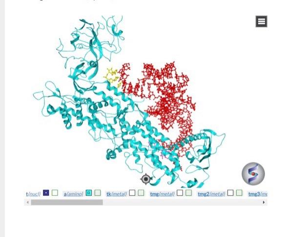 Solved Considering the identities of the amino acids in | Chegg.com