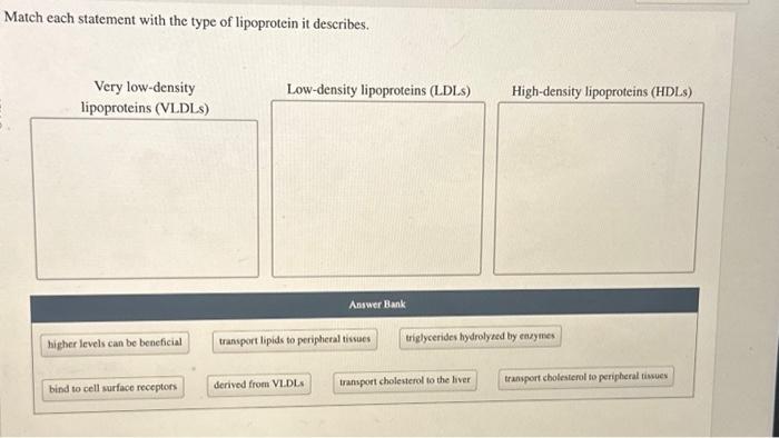 Solved Match each statement with the type of lipoprotein it | Chegg.com