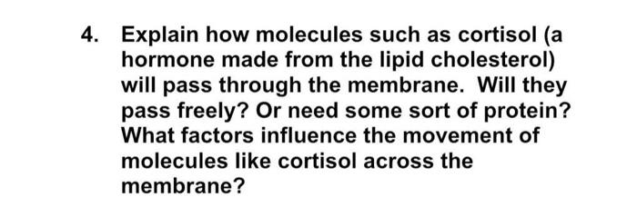 Solved Explain how molecules such as cortisol (a hormone | Chegg.com