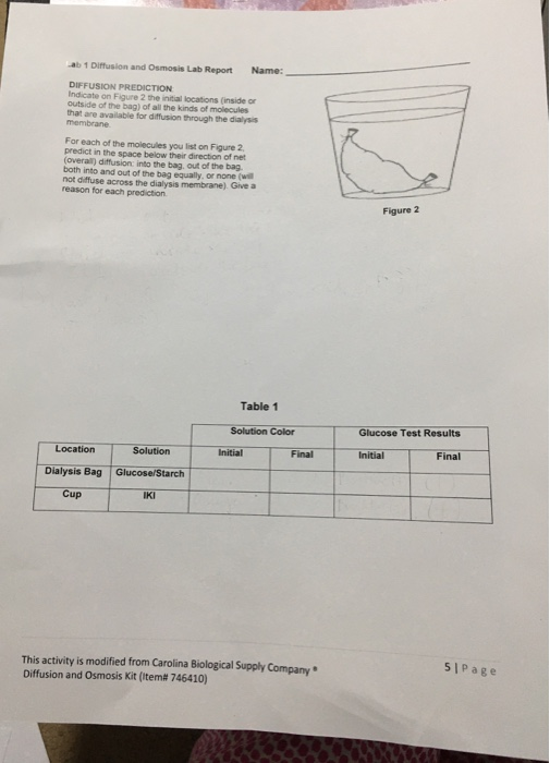ab 1 Diffusion and Osmosis Lab Report Name: DIFFUSION | Chegg.com
